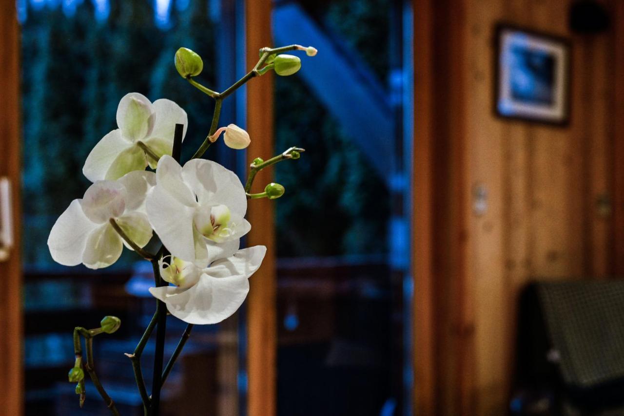 Yeti Lodge Rooms Argentière Exteriör bild